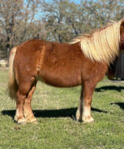 import placeholder for 9978