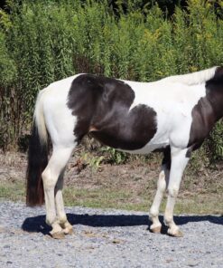 import placeholder for 10011