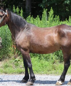 import placeholder for 10086