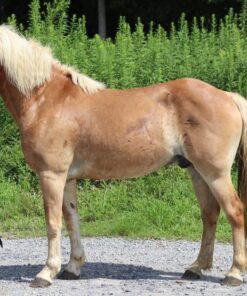 import placeholder for 10094