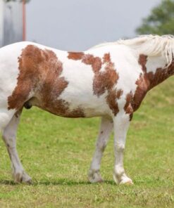 import placeholder for 10103