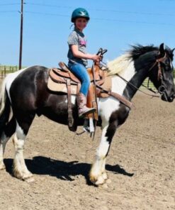 import placeholder for 10118