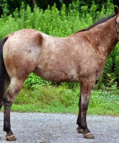 import placeholder for 10126