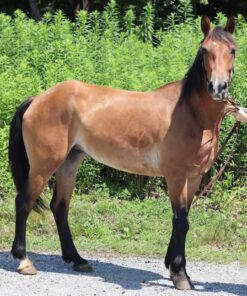 import placeholder for 10134