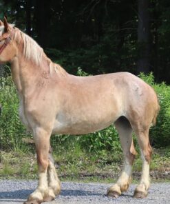 import placeholder for 10156