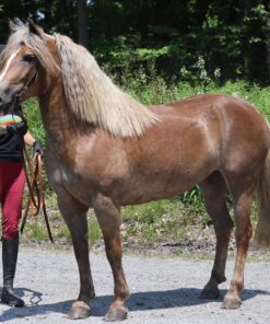 import placeholder for 10165