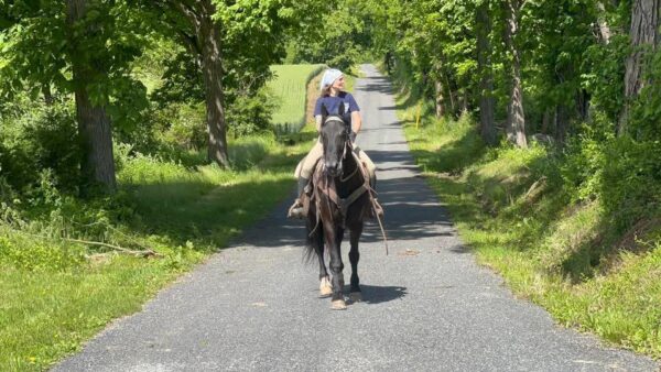 jesper