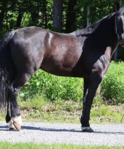 import placeholder for 10174