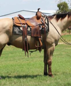 import placeholder for 9346