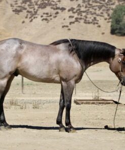 import placeholder for 9390