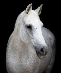 import placeholder for 9405