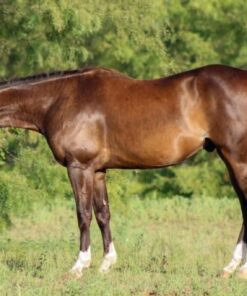 import placeholder for 9443