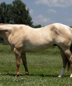 import placeholder for 9464