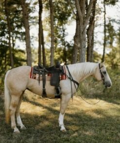 import placeholder for 9479