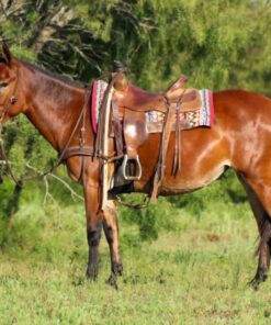 import placeholder for 9546