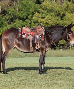 import placeholder for 9575