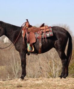 import placeholder for 9612