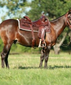 import placeholder for 9626