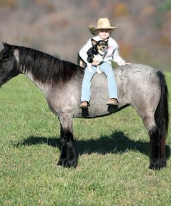 import placeholder for 9639