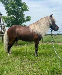 import placeholder for 9664