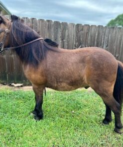 import placeholder for 9703