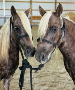 brooks & dunn brooks & dunn