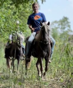 brooks & dunn brooks & dunn