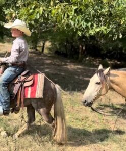 brooks & dunn brooks & dunn