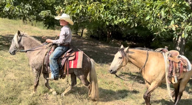 brooks & dunn brooks & dunn