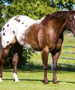 import placeholder for 9805