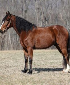 import placeholder for 9819