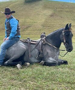 import placeholder for 9860