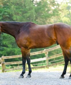 import placeholder for 9023