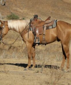 import placeholder for 9333