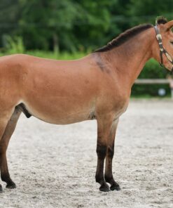 import placeholder for 8918