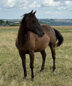 import placeholder for 8945