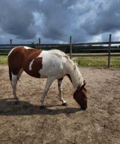 import placeholder for 8954