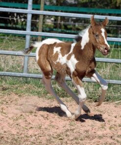 import placeholder for 8930